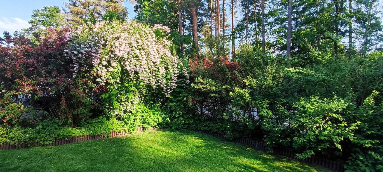 Waldidylle Apartman Küsten Kültér fotó